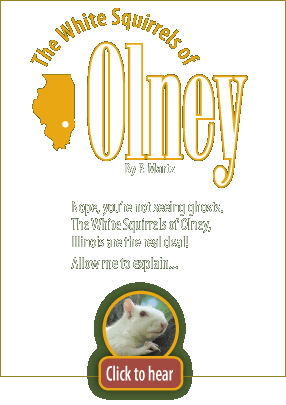 The White Squirrels of Olney